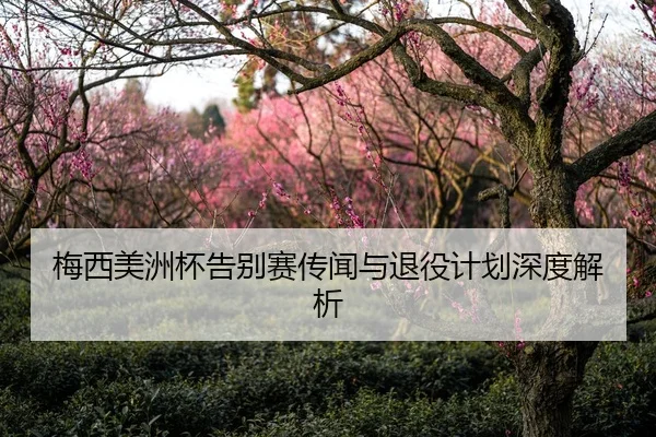 梅西美洲杯告别赛传闻与退役计划深度解析